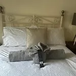 Guest house Hollyside Carlisle (Cumbria)
